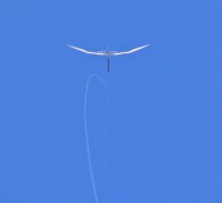 Big Bird just coming to the top of the launch (click to enlarge)