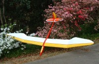 Morris's Sky Bird in the flowers