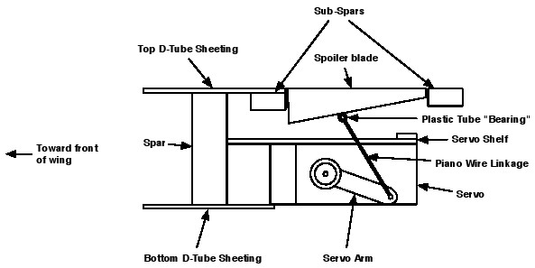 Side view through the wing